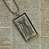 Cuttlefish - vintage 1930s dictionary illustration up-cycled to soldered glass pendant