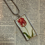 Variegated tulip, botanical illustrations, up-cycled to soldered glass pendant