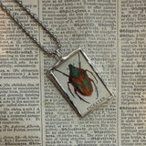 Beetles, vintage 1940s vintage field guide illustrations, up-cycled to soldered glass pendant