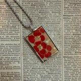Beetles, vintage 1940s vintage field guide illustrations, up-cycled to soldered glass pendant