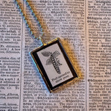 Pea pod, vintage botanical dictionary illustration, upcycled to soldered glass pendant