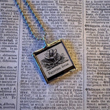 Egyptian Lotus, vintage botanical dictionary illustration, upcycled to soldered glass pendant