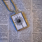 Marguerite Daisy, flora, botanical illustrations, up-cycled to soldered glass pendant
