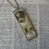 Pit Bull Puppy Dog, vintage dog illustration up-cycled to hand soldered glass pendant