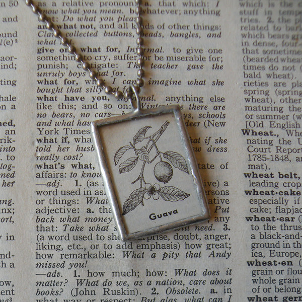 Guava plant, vintage botanical dictionary illustration, upcycled to soldered glass pendant