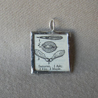 Samara Maple seed pod, vintage botanical dictionary illustration, upcycled to soldered glass pendant