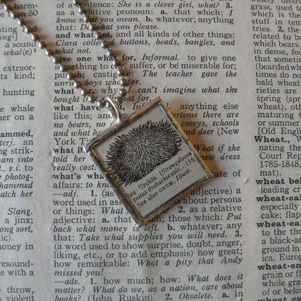 Sea urchin, vintage 1940s dictionary illustration, up-cycled to hand soldered glass pendant