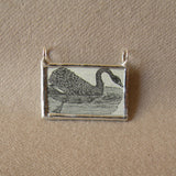Black swan, vintage dictionary illustration, up-cycled to hand soldered glass pendant