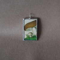 Mushroom and fungus, vintage natural history illustrations up-cycled to soldered glass pendant