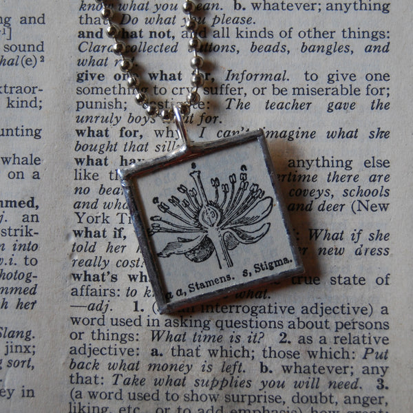 Flower stamen cross section, vintage botanical dictionary illustration, upcycled to soldered glass pendant