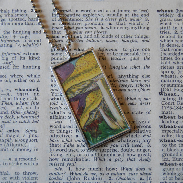 1 Mushrooms and fungus, vintage natural history illustrations up-cycled to soldered glass pendant