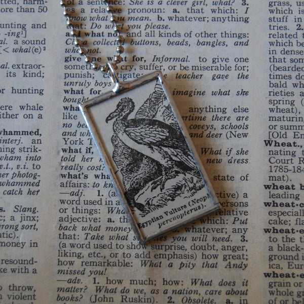 1 Vulture, vintage 1930s dictionary illustration, upcycled to soldered glass pendant
