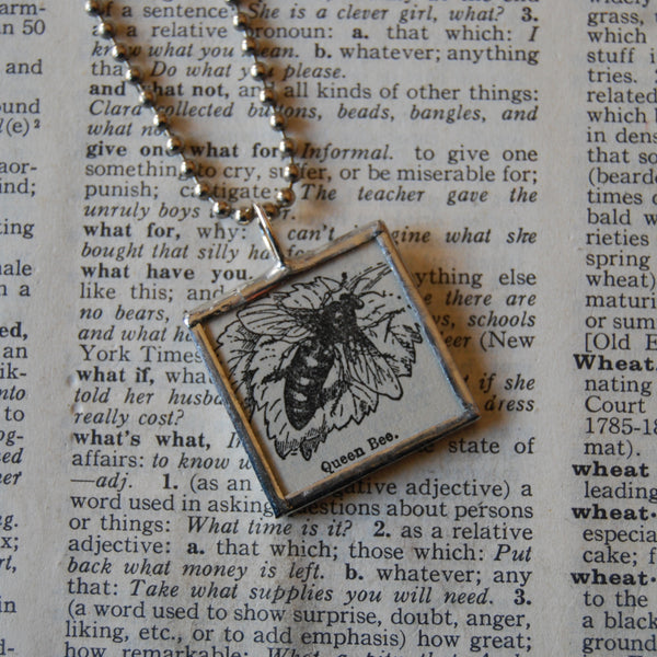 Queen bee, vintage 1940s dictionary illustrations, up-cycled to soldered glass pendant