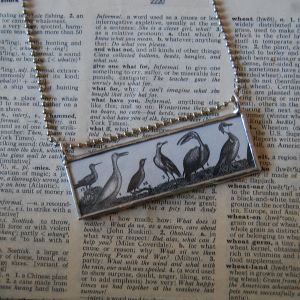 Birds, natural history, vintage illustration, up-cycled to soldered glass pendant