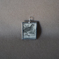 European quail, vintage 1930s dictionary illustration, upcycled to soldered glass pendant