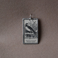 European Swallow, vintage 1930s-40s dictionary bird illustration, soldered glass pendant