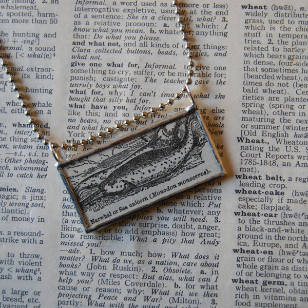 Narwhal, vintage scientific dictionary illustration, upcycled to hand soldered glass pendant