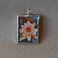 Yellow pond lily, White Water lily, vintage natural history illustrations up-cycled to soldered glass pendant