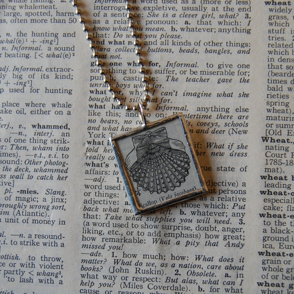 1 Scallop, vintage 1940s dictionary illustration, up-cycled to hand soldered glass pendant