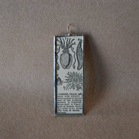 Cuttlefish, vintage 1940s dictionary illustration, up-cycled to hand soldered glass pendant
