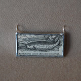 Narwhal, vintage scientific dictionary illustration, upcycled to hand soldered glass pendant
