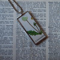 Dandelion, original illustrations from vintage Richard Scarry book, up-cycled to soldered glass pendant