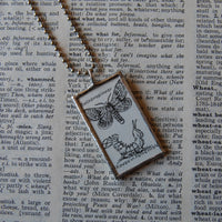 Butterfly, caterpillar, vintage dictionary illustrations, up-cycled to soldered glass pendant