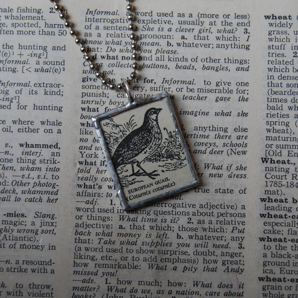 European Quail, vintage 1930s-40s dictionary bird illustration, soldered glass pendant