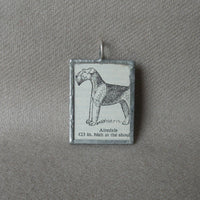 Airedale dog, vintage 1930s dictionary illustration, up-cycled to hand-soldered glass pendant