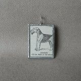 Airedale dog, vintage 1930s dictionary illustration, up-cycled to hand-soldered glass pendant