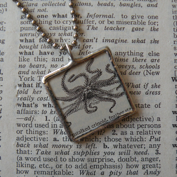 Crinoid, Starfish, sea star, brittle star, vintage 1930s - 40s dictionary illustration, up-cycled to hand soldered glass pendant