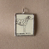 Dalmation dog, vintage 1940s dictionary illustration, up-cycled to hand-soldered glass pendant