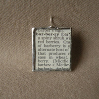 Barberry Twig, plant, vintage botanical dictionary illustration, up-cycled to soldered glass pendant