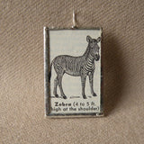 Zebra, vintage 1940s dictionary illustration, up-cycled to soldered glass pendant