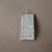 Moa, ostrich, bird, vintage 1940s dictionary illustration upcycled to soldered glass pendant