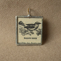 Fallow Finch Bird, vintage 1940s dictionary illustration upcycled to soldered glass pendant
