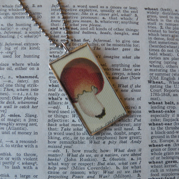 Mushroom and fungus, vintage natural history illustrations up-cycled to soldered glass pendant