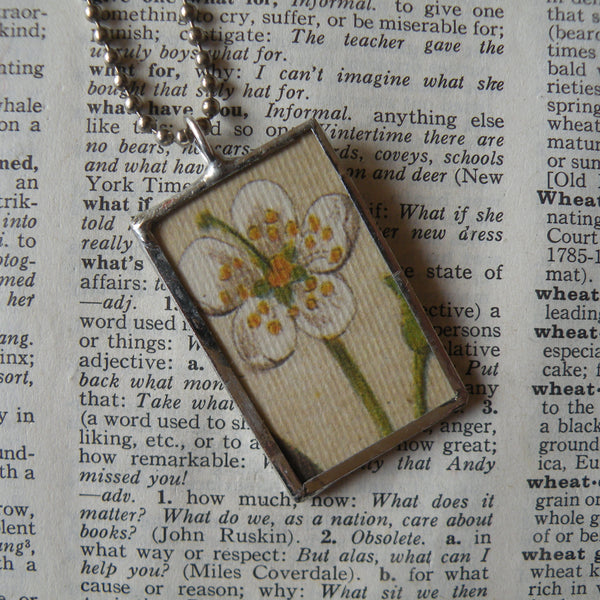 Peach blossom and peach pit, vintage botanical illustrations, hand-soldered glass pendant