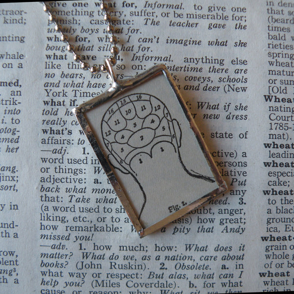 Phrenology, vintage dictionary illustrations, up-cycled to soldered glass pendant