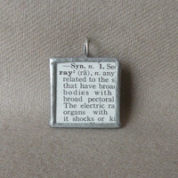 Electric Ray, vintage 1930s dictionary illustration, up-cycled to hand soldered glass pendant