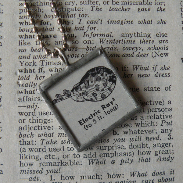 Electric Ray, vintage 1930s dictionary illustration, up-cycled to hand soldered glass pendant