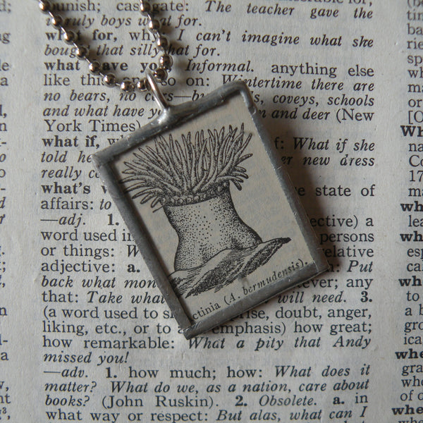 Actinia, sea anemones, vintage 1940s dictionary illustration, up-cycled to hand soldered glass pendant